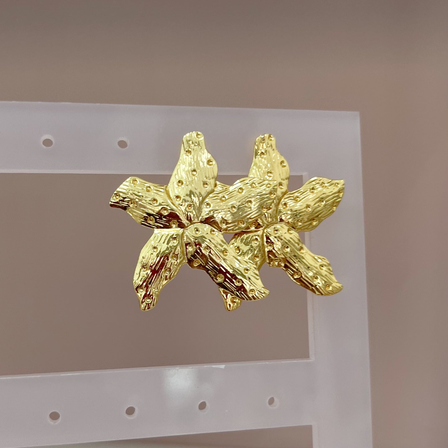 ARETES ESTRELLA DE MAR