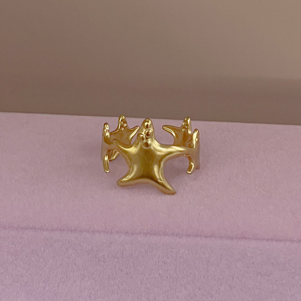 ANILLO ESTRELLA DE MAR