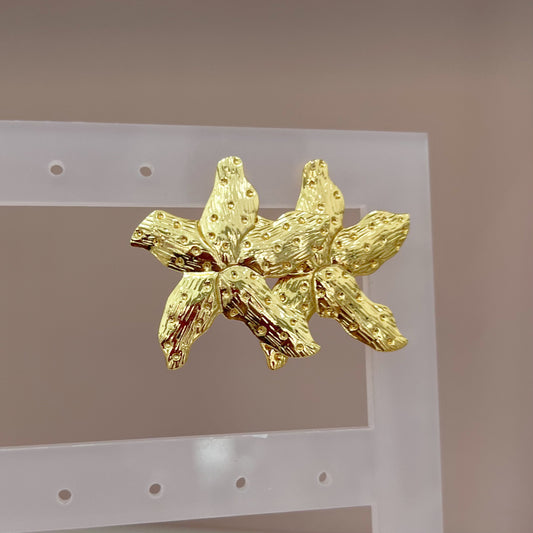 ARETES ESTRELLA DE MAR