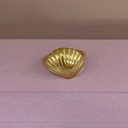 ANILLO CONCHA