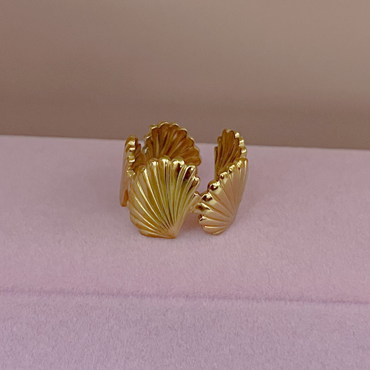ANILLO CONCHAS